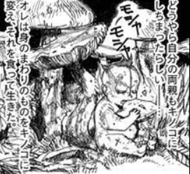 ドロヘドロ画像83