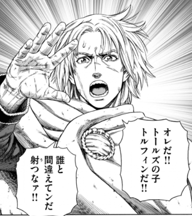 ヴィランドサガ画像21